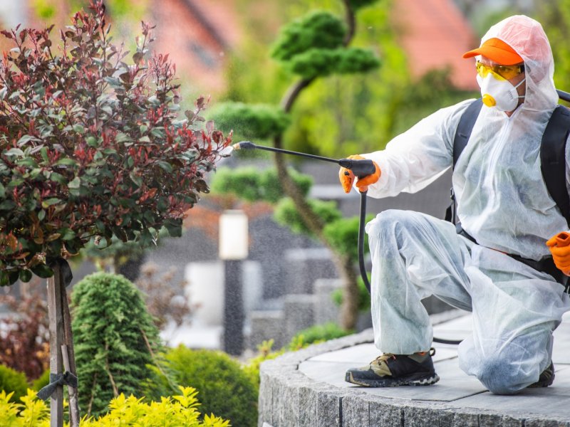 Karacabey Haşere İlaçlama